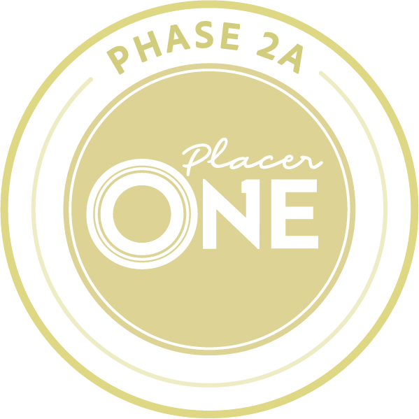 Phase 2A logo