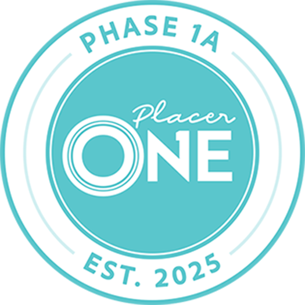 Phase 1A Est 2025 logo